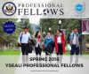 Announcement of the spring 2018 young southeast asian leaders initiative (YSEALI) academic fellowship